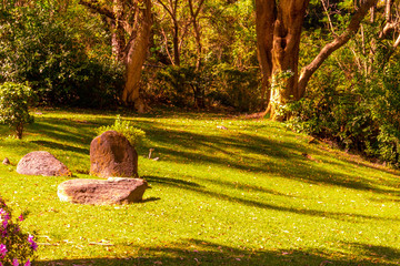 Paisaje del jardín Japonés del bosque de Colomos en Jalisco, México.