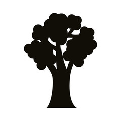 leafy tree silhouette style icon