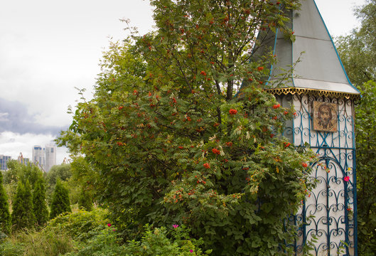 A small chapel on the outskirts of Moscow among a thicket of mountain ash