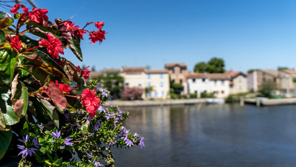 Fototapeta premium Blüte vor der Silhouette von Aigues-Martes, Occitanien, Frankreich 