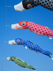 青空を泳ぐコイノボリ