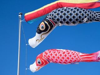 青空を泳ぐコイノボリ