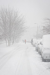 Cars parking under snow on the street. City storm. Vertical photo.