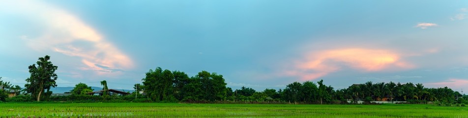 The beautiful panorama landscape,  The Twilight time sunset with colorful clouds at the top of the Rice fields,  Phayao Northern  Thailand