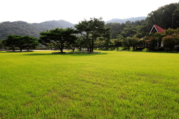 푸른 잔디밭이 보이는 아름다운 풍경