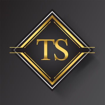 TS Letter logo in a square shape gold and silver colored geometric ornaments. Vector design template elements for your business or company identity.