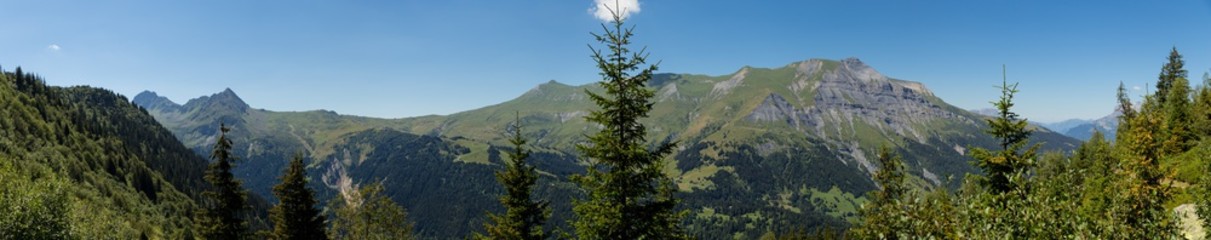 Panorama du Joly