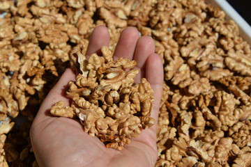 walnut harvest in the summer and cleaning from the shell, storage until the winter of the nut in the open form.