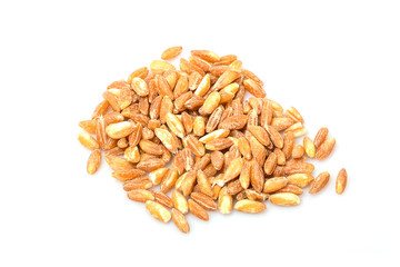 Close up of wheat grains isolated on white background