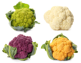 Set of various cauliflower cabbages on white background