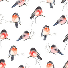 Christmas seamless pattern with bullfinches birds on branches, watercolor illustration, holiday print on white background.