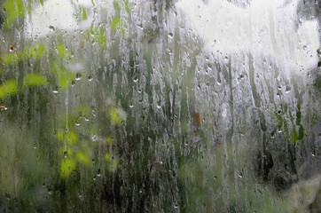 Raindrops on a window, with green leaves outside.