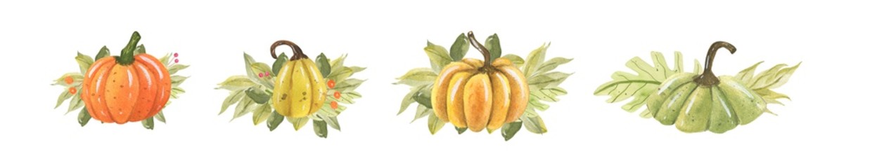 Watercolor fresh orange pumpkin . illustration halloween.Hand Drawn watercolor illustration.Isolated on a white background.