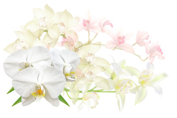 bouquet of orchid flowers isolated on white