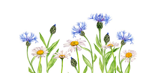 watercolor drawing flowers