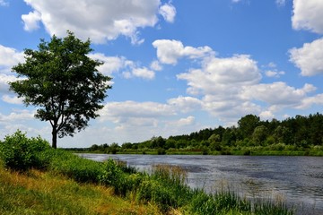 A beautiful view of the peaceful Narew river. Sunny, summer day at the river Narew in polish countryside. River in western Belarus and north-eastern Poland, is a right tributary of the Vistula River. 