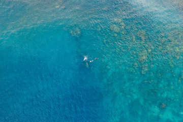 Three people snorkling in the ocean in Amed, Bali, Indonesia