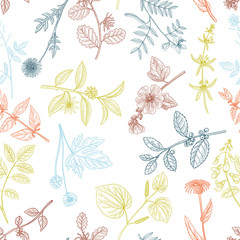 vector drawing floral vintage seamless pattern