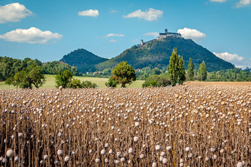 Bezděz castle