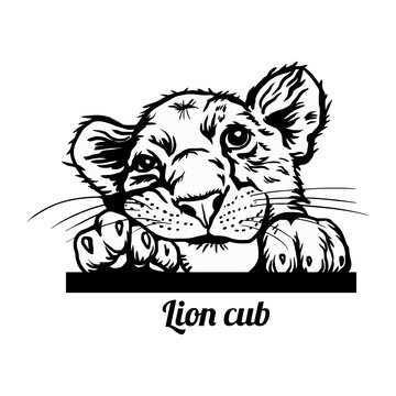 Free Free 296 Lion Cub With Crown Svg SVG PNG EPS DXF File