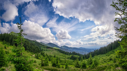 Mountain valley panorama with green fir trees and dramatic cloudy sky. Carpathians in summer