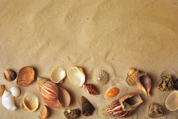 Fototapeta na wymiar Different beautiful sea shells on sand, flat lay. Space for text