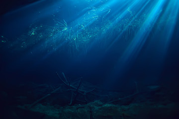 rays of light under water, abstract marine background nature landscape rays blurred