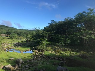 landscape with river
