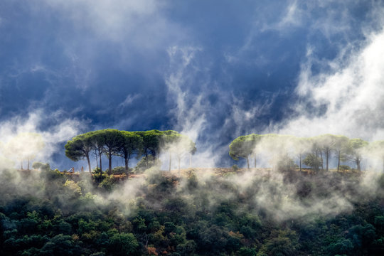 Landscape of Sierra de Grazalema natural park, Cadiz province, Andalusia, Spain.