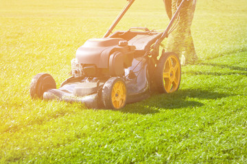 Worker guy shake pour grass from lawn mower bag into wheelbarrow. Garden meadow lawn cutting....