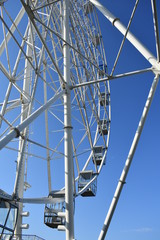 walk in the Park early in the morning