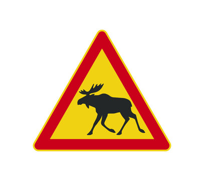 Moose Crossing Warning icon symbol. Elk warning logo sign. Vector illustration image. Isolated on white background.