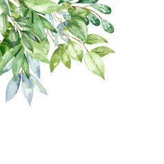 Hand drawn watercolor fresh green leaves, foliage design isolated on white background. Watercolour illustration.