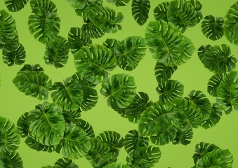 3D Realistic Render Monstera Deliciosa leaf seamless pattern. Modern tropical background with jungle plants. Green exotic pattern with monstera leaves on green or white background.