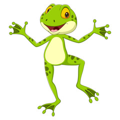 Obraz premium Cartoon funny frog posing on white background