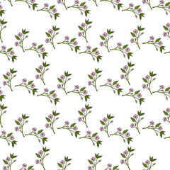 Seamless pattern with stylish sakura branches on white background. Vector image.