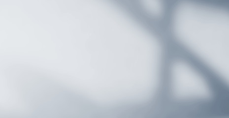 
Abstract blurred background, blue gray background with reflective wall for design and layout of books as computer screen background wallpaper.