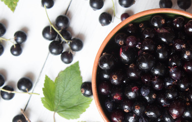 Black currant in bowl on blurred background of  fresh currant and green leaves. Top view.