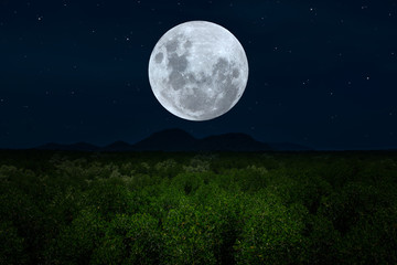 Fototapeta na wymiar Full moon over silhouette forest in the night.