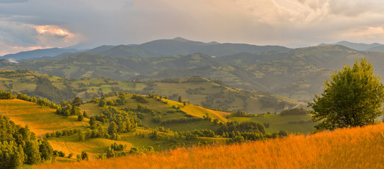 Panoramic view of the Bucegi Mountains from Holbav, Romania
