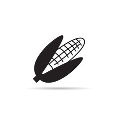 corn icon on white background vector