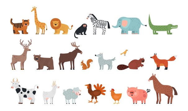Different animals. Farm savanna forest fauna, isolated wildlife characters. Wolf tiger bear deer squirrel, fox and sheep vector illustration. African jungle, safari africa, different wild animals