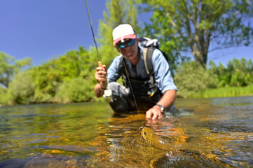 fly fisherman in summer catching brown trout fishing in a mountain river