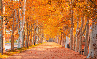 Fototapeta na wymiar Pathway at lake Balaton in autumn