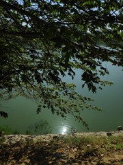 reflection in water