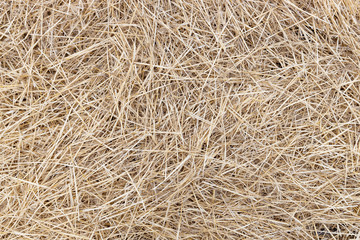 Straw. Natural background from mown wheat.