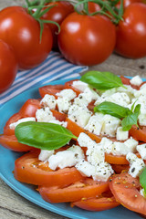 assiette de tomates et fromage mozzarella