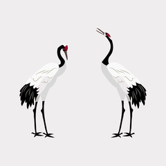 Vector illustration with Japanese cranes