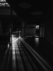 Black and white photography, lights and shadows, light and dark