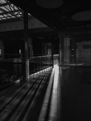 Lights and shadows, light and dark, black and white photography 